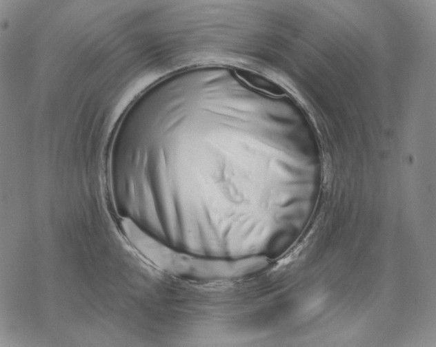 X0000074221048200609151616