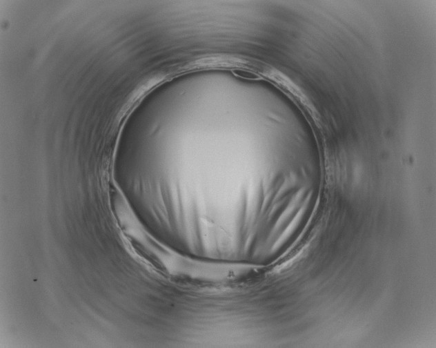 X0000074221049200609151616