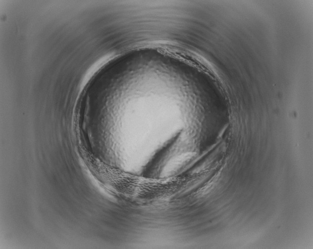 X0000074221050200609151616