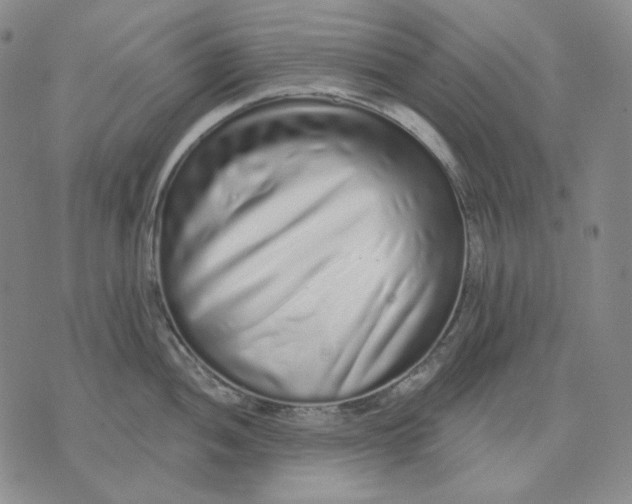 X0000074221052200609151616