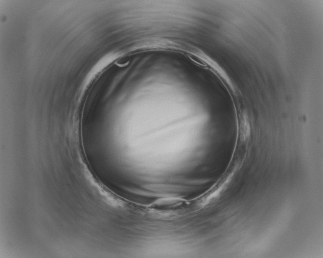 X0000074221053200609151616