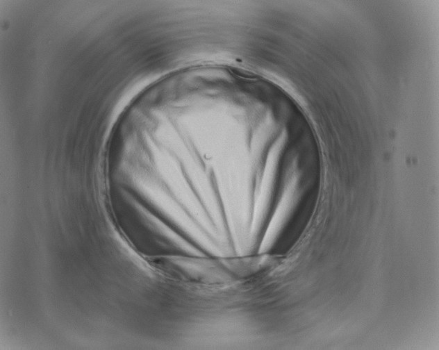 X0000074221056200609151616