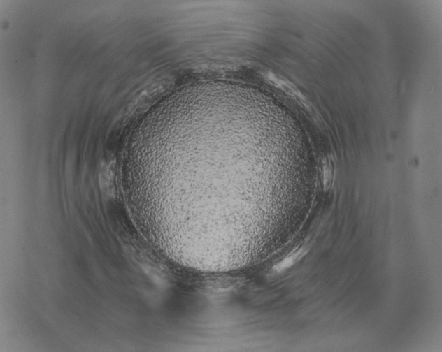 X0000074221059200609151616
