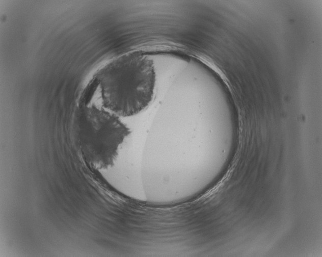 X0000074221067200609151615