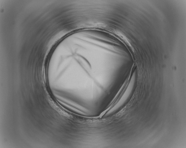 X0000074221080200609151615