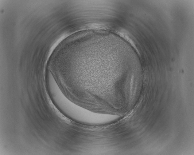X0000074221091200609151615