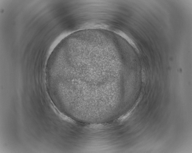 X0000074221094200609151615