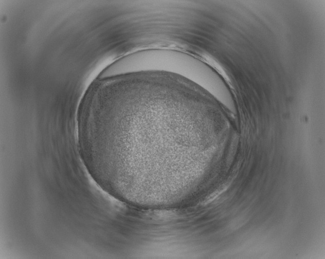 X0000074221095200609151615