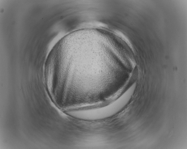 X0000074221103200609151615