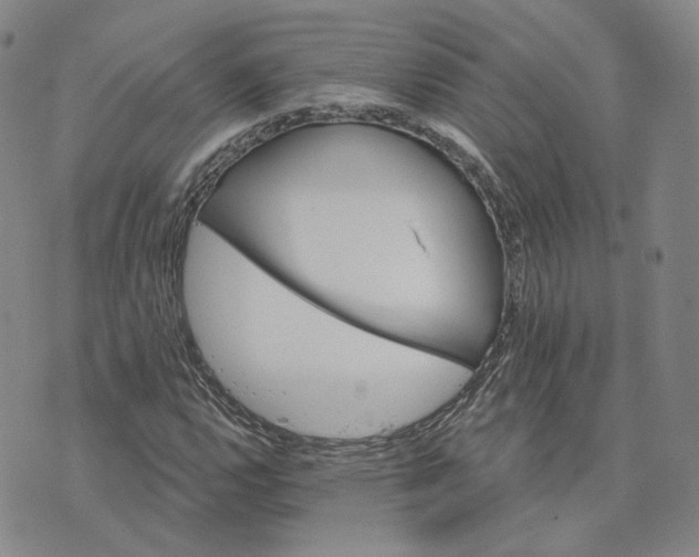 X0000074221112200609151614