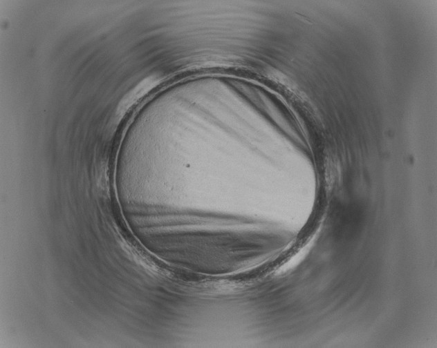X0000074221113200609151614