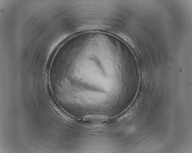 X0000074221119200609151614