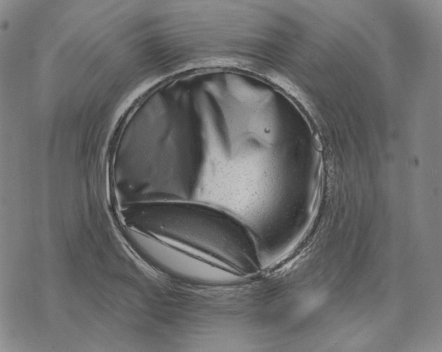 X0000074221127200609151614