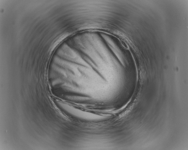 X0000074221129200609151614