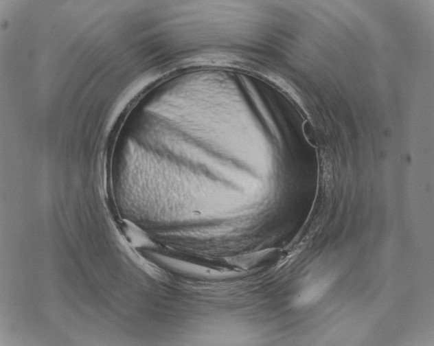 X0000074221131200609151614