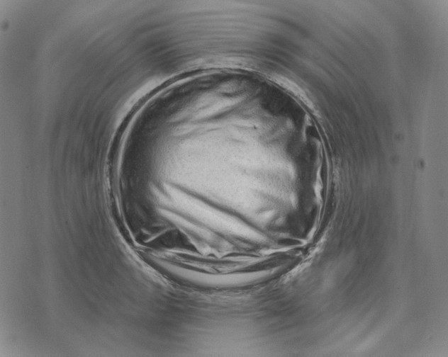 X0000074221133200609151615