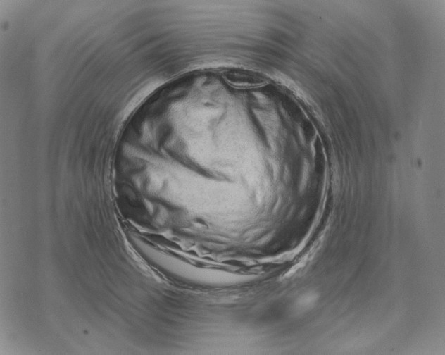 X0000074221137200609151615