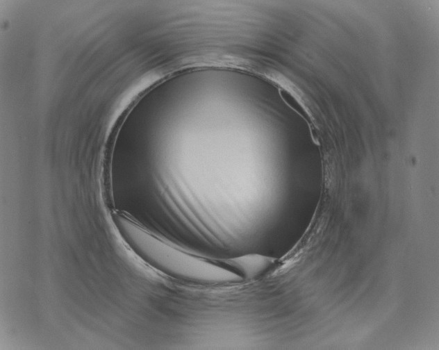 X0000074221139200609151615