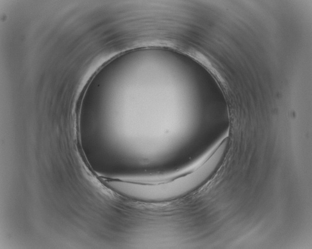 X0000074221140200609151615