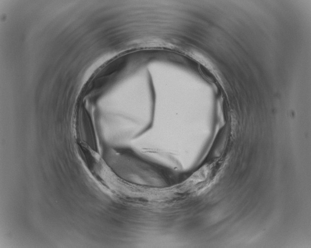 X0000074221141200609151615