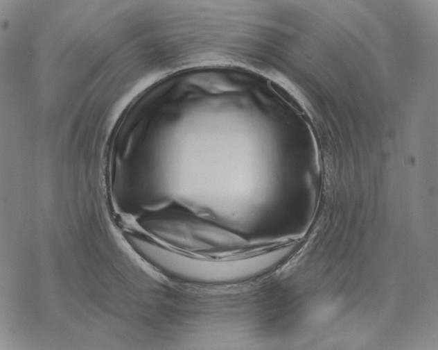 X0000074221142200609151615