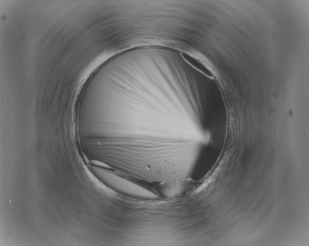 X0000074221143200609151615