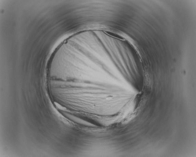 X0000074221147200609151615