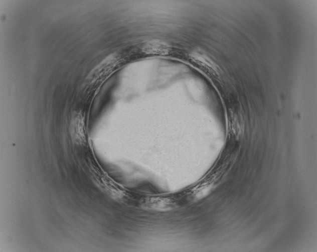 X0000074221154200609151614