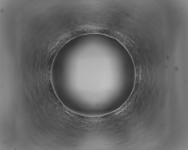 X0000074221157200609151614