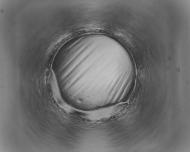 X0000074221159200609151614