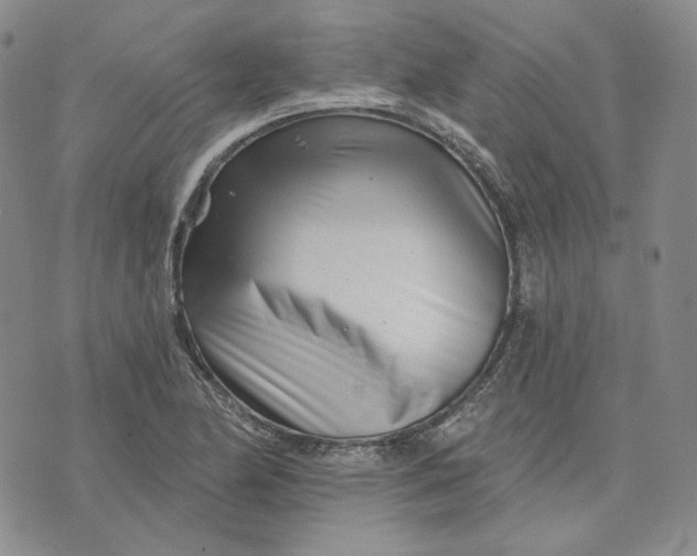 X0000074221174200609151614