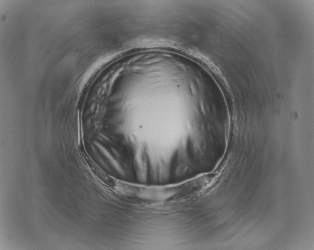X0000074221175200609151614