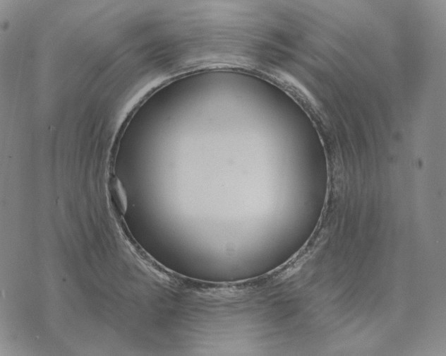 X0000074221182200609151614