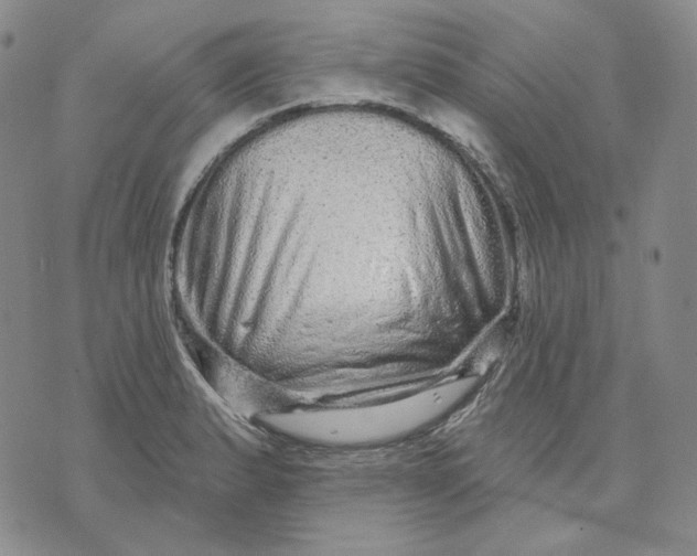 X0000074221183200609151614