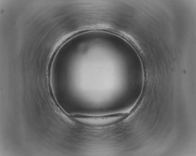 X0000074221184200609151614