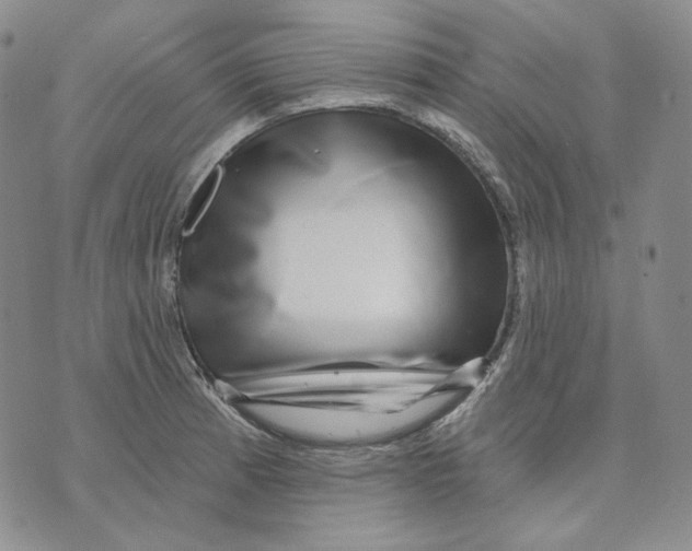 X0000074221185200609151613