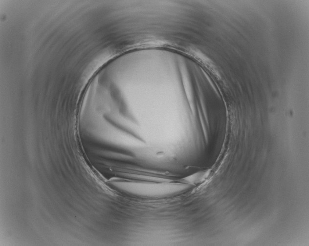 X0000074221186200609151613