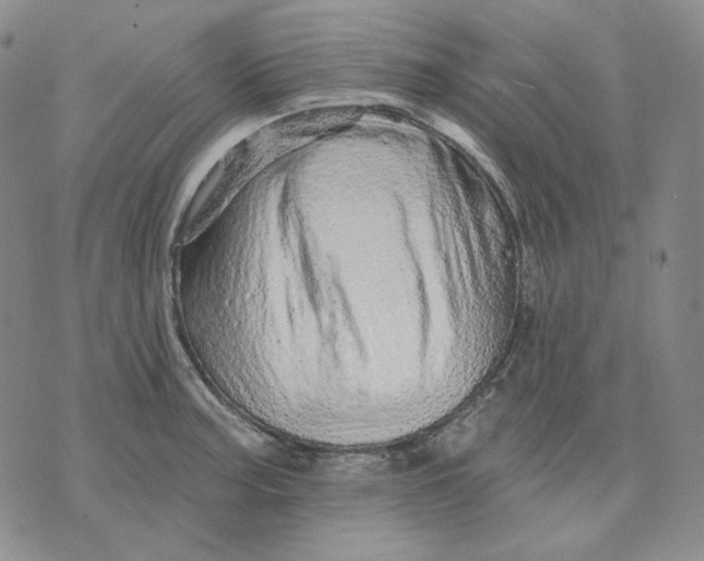 X0000074221187200609151613