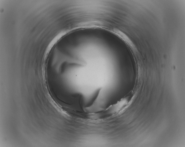 X0000074221196200609151613