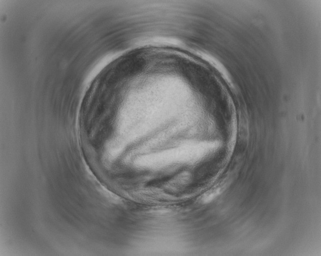 X0000074221199200609151613