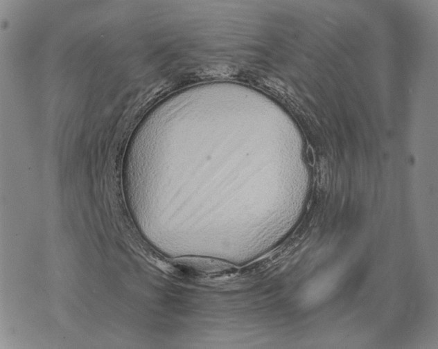 X0000074221201200609151612