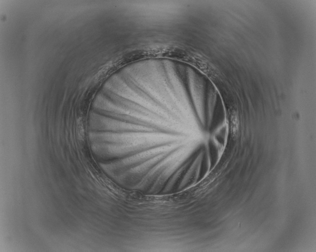 X0000074221204200609151612