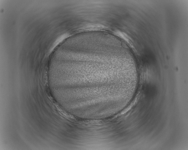 X0000074221211200609151613