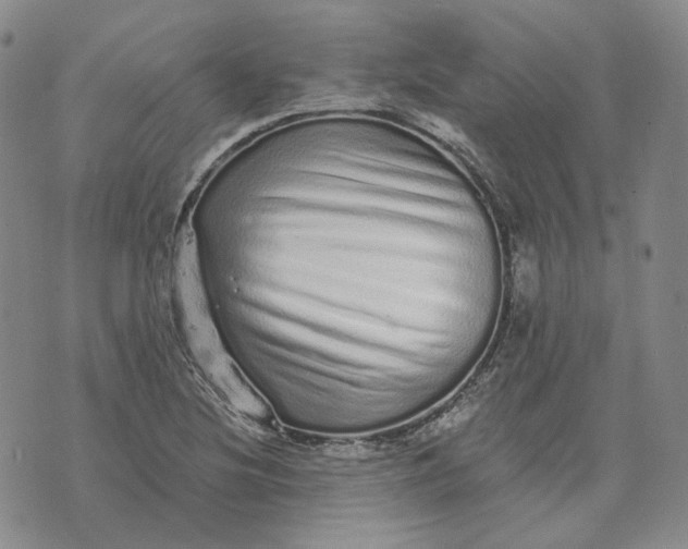 X0000074221220200609151613