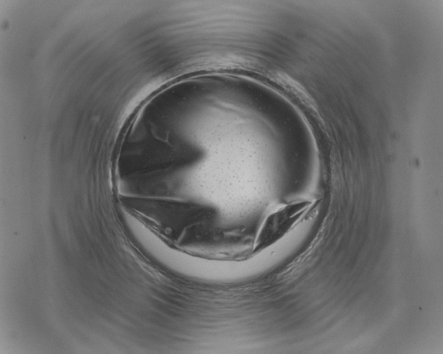 X0000074221226200609151613