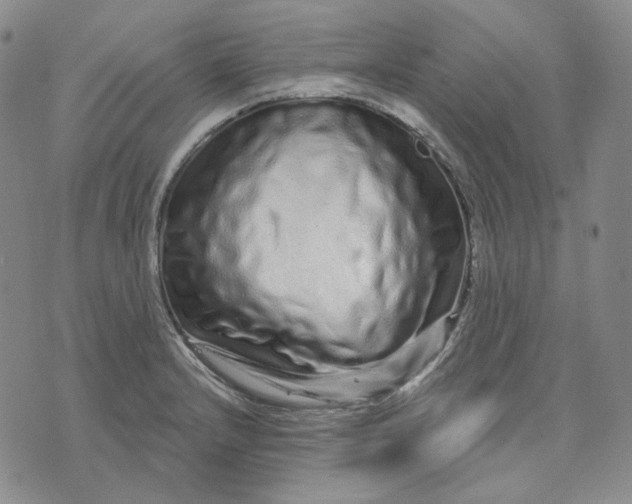 X0000074221232200609151613