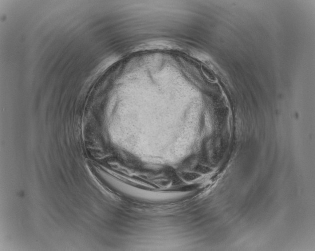 X0000074221233200609151613