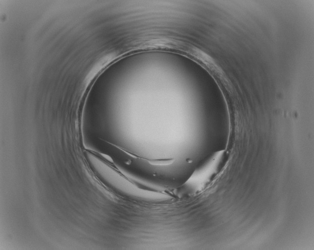 X0000074221234200609151613