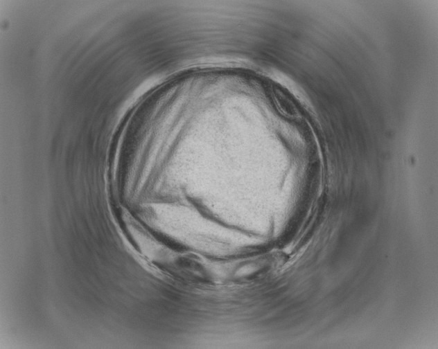 X0000074221237200609151613
