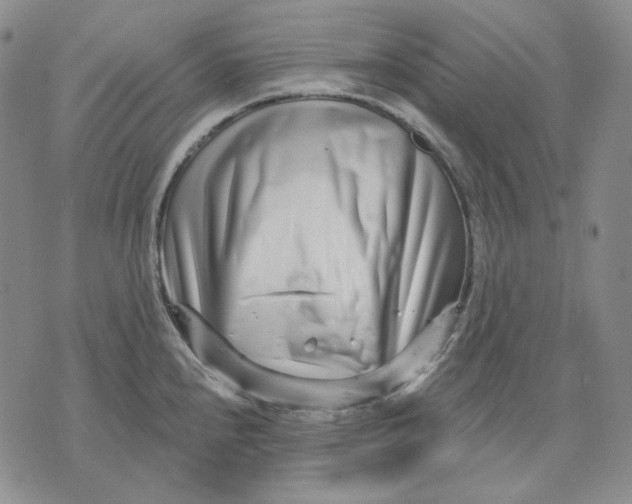 X0000074221240200609151613